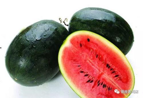 网红黑料 朝阳吃瓜网51,朝阳吃瓜网51独家爆料